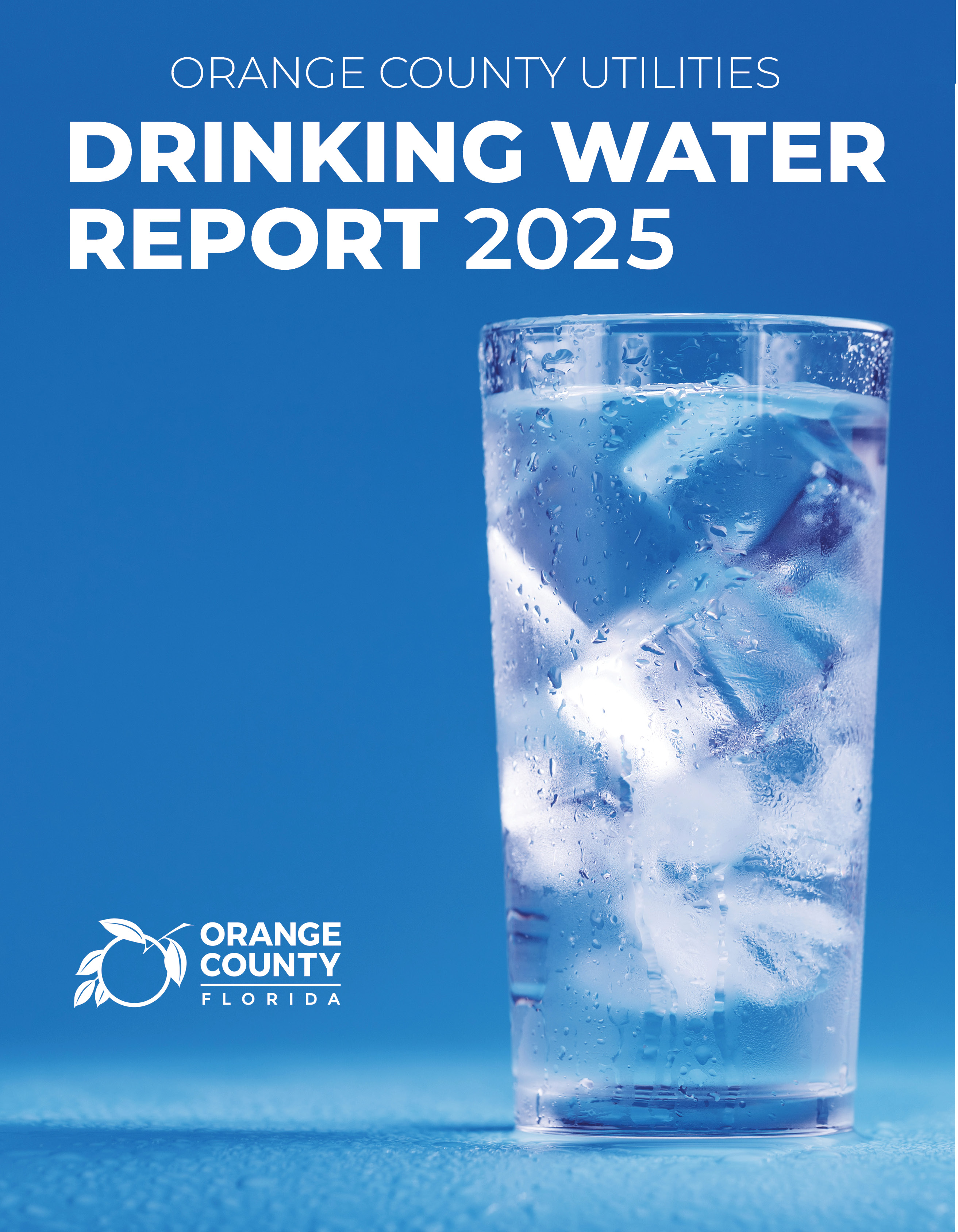 Drinking Water Report 2025